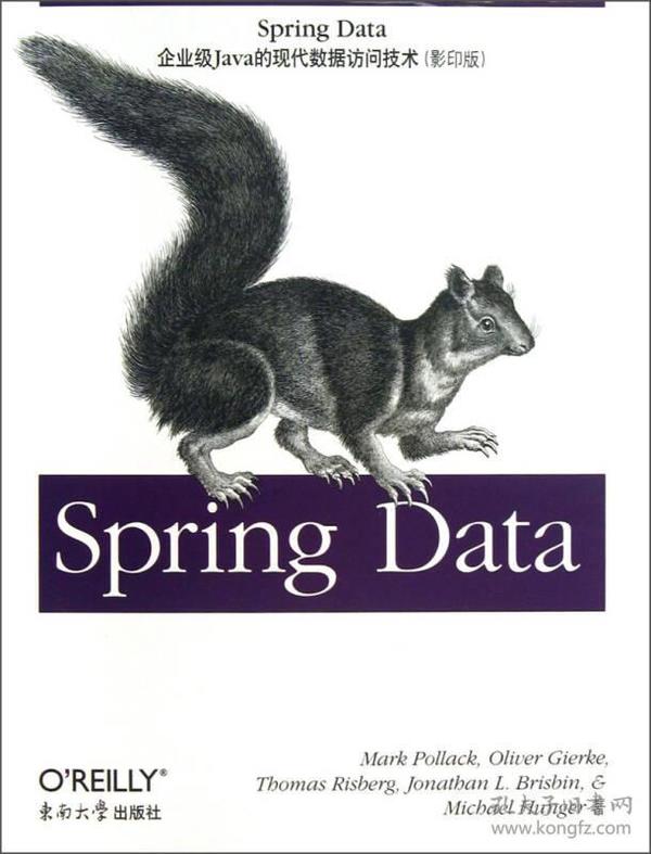 Spring Data:企业级Java的现代数据访问技术