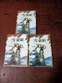 80年代老版武侠 ；雪里红（上中下 3册全）