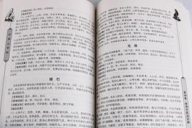中医大百科 正版全套12册平装中医中药医学名著全集黄帝内经神农本草经本草纲目等 推拿按摩针灸足疗刮痧药膳养生保健诊疗偏方名方