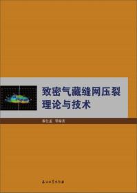 致密气藏缝网压裂理论与技术