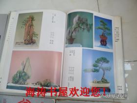 中国盆景流派佳作荟萃（1—10全十册，其中1、2、4、7、8是精装本，3、5、6、9、10是平装本，有私人盖章，因书重近六斤，建议发邮局普通包裹）