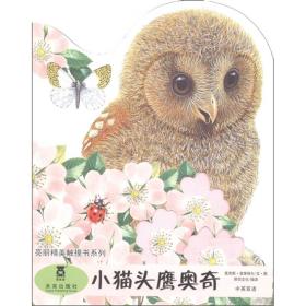 亮丽精美触摸书系列：小猫头鹰奥奇