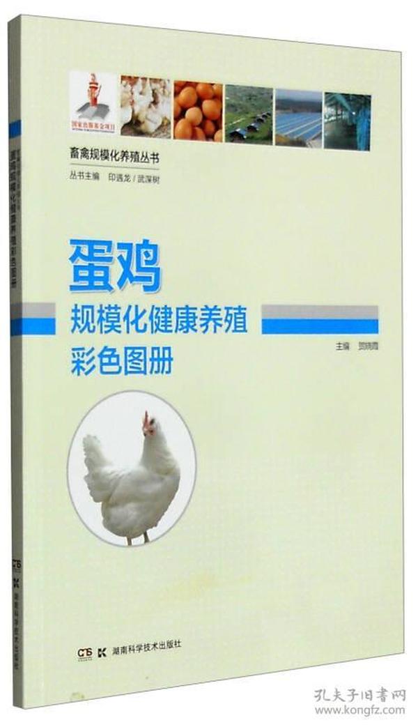 畜禽规模化养殖丛书：蛋鸡规模化健康养殖彩色图册