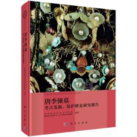 唐李倕墓考古发掘、保护修复研究报告（16开精装 全1册）