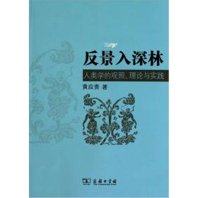 反景入深林：人类学的观照、理论与实践