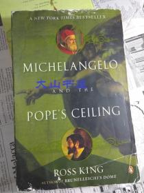 Michelangelo and the Pope's Ceiling 米开朗基罗与教皇的天花板 英文原版 正版