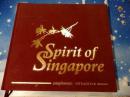 spirit of singapore【具体如图】》