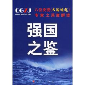 强国之鉴：八位央视《大国崛起》专家之深度解读