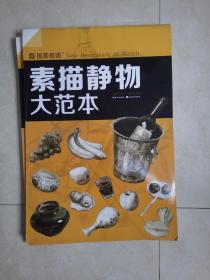 国美格调：素描静物大范本
