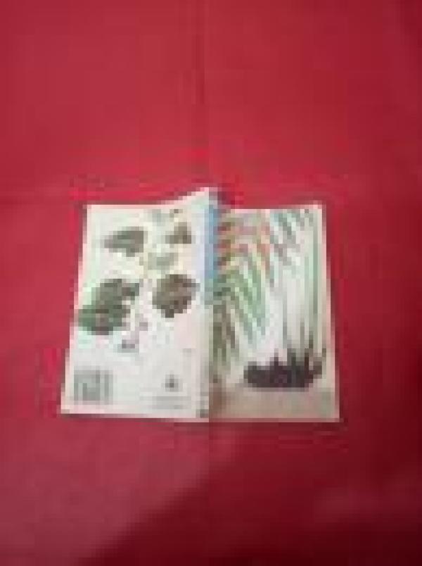 补品补药与补益良方