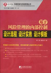 内部控制与风险管理丛书：基于风险管理的内部控制设计流程、设计实务、设计模板 L