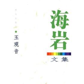 玉观音-海岩文集