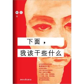 【正版现货】下面，我该干些什么