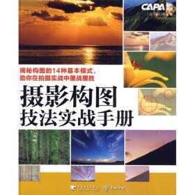 摄影构图技法实战手册