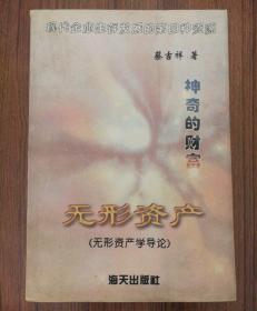 神奇的财富:无形资产(无形资产学导论)