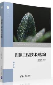 图像工程技术选编/电子信息前沿技术丛书