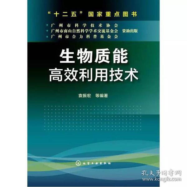 生物质能高效利用技术