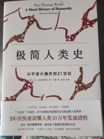 极简人类史：从宇宙大爆炸到21世纪