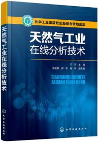 天然气工业在线分析技术