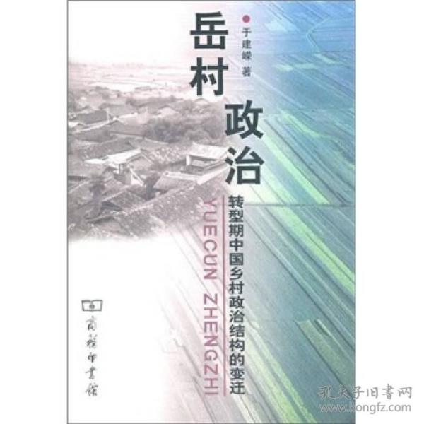 岳村政治：转型期中国乡村政治结构的变迁（2001年）