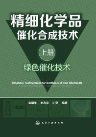 精细化学品催化合成技术（上册，绿色催化技术）