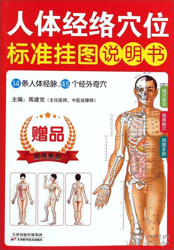 人体经络穴位标准 挂图（男性）