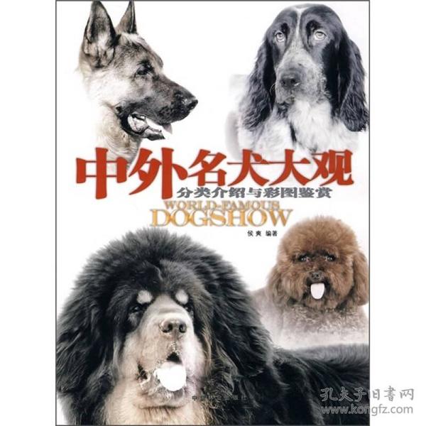 中外名犬大观：分类介绍与彩图鉴赏