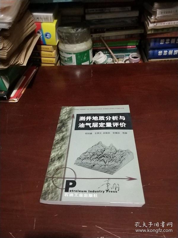 测井地质分析与油气层定量评价