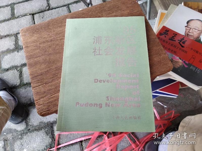 1995浦东新区社会发展报告 库存书