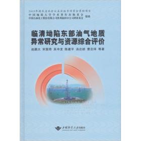 临清坳陷东部油气地质异常研究与资源综合评价