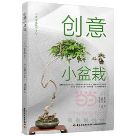 创意小盆栽