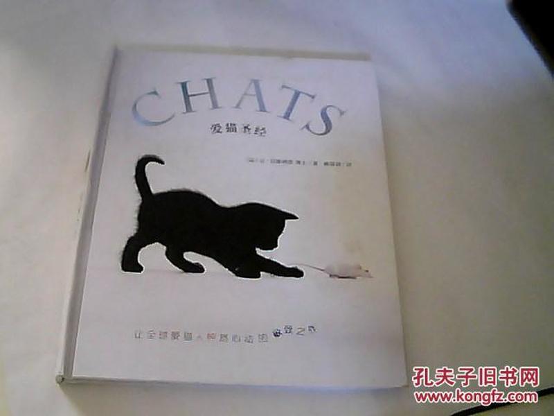 爱猫圣经