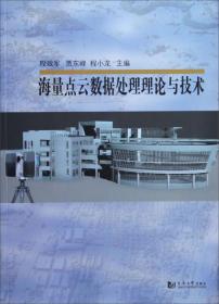 海量点云数据处理理论与技术