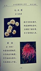 古今咏菊诗词三百首(上下全)