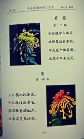 古今咏菊诗词三百首(上下全)