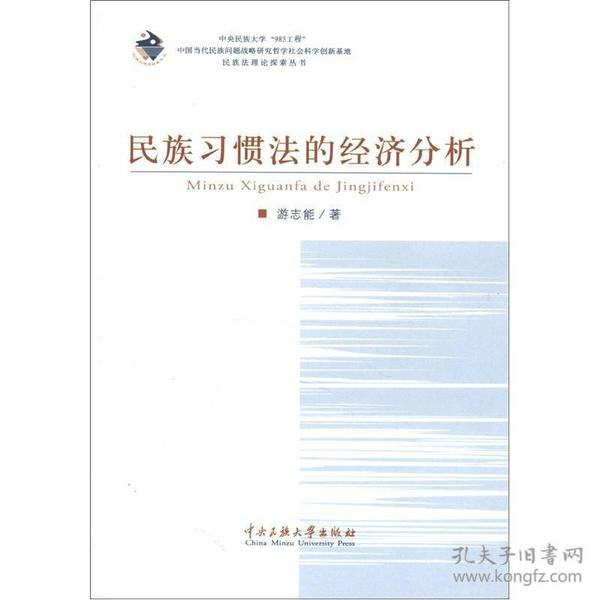 民族法理论探索丛书：民族习惯法的经济分析