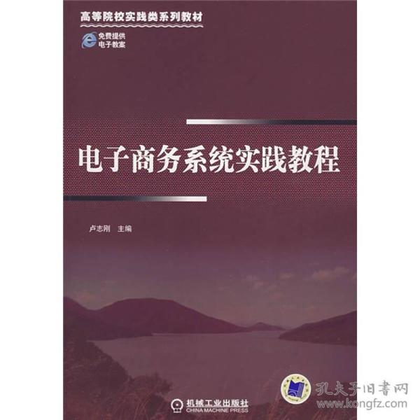 高等院校实践类系列教材：电子商务系统实践教程