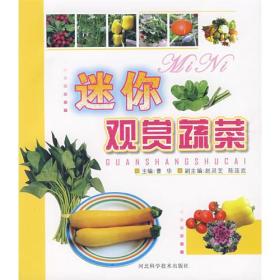 迷你观赏蔬菜