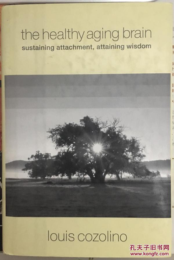 The Healthy Aging Brain: Sustaining Attachment, Attaining Wisdom (Norton Series on Interpersonal