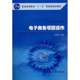 电子商务系列教材·普通高等教育十一五国家级规划教材：电子商务项目运作