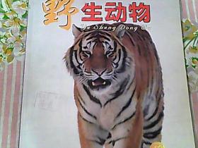 野生动物2005年6期