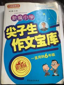 方洲新概念：新编小学 尖子生作文宝库 一直用到6年级