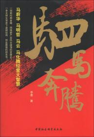 驷马奔腾：马蔚华、马明哲、马云、马化腾经营大智慧