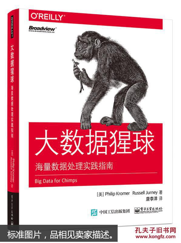 大数据猩球：海量数据处理实践指南