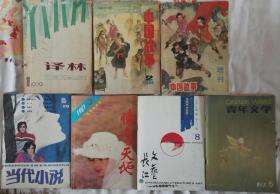 《译林》创刊号、《中国故事》等6本