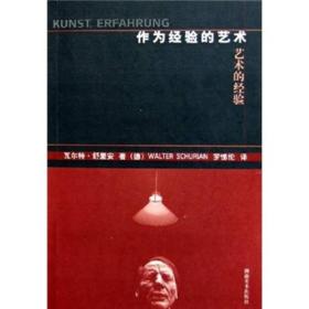 作为经验的艺术