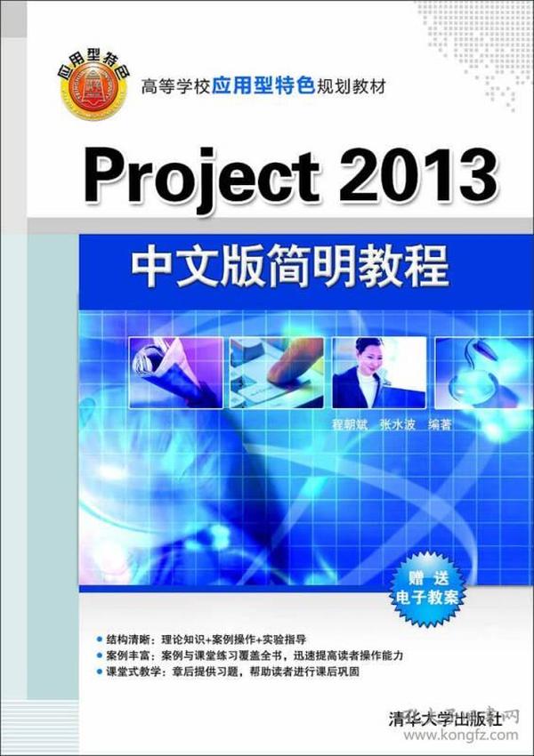 Project 2013中文版简明教程