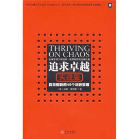 追求卓越(实践版自主创新的45个绝妙策略)