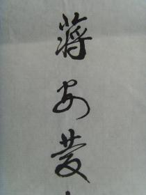 蒋安庆：书法：为天宫一号欢呼（带简介）《蒋安庆书画选》（蒋安庆，1936年生。教育工作者，1996年退休。现为江苏科技大学书画协会副会长，镇江松梅诗社常务理事，上海徐悲鸿艺术研究协会会员（特邀），中国老年书法学会终身会员。自幼爱好书画，1996年书法作品获第二届“王子杯”海峡两岸书画大赛银奖，后多次参加各类书画赛事并获金、银、铜奖若干。出版作品有《蒋安庆书画选》《国家艺术人物蒋安庆专刊》。）