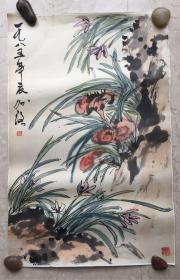 张加洛 灵芝